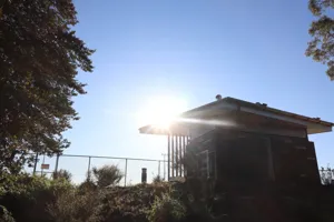 2025-06-21 Bartons Park - IMG_2455_compressed_q50.webp